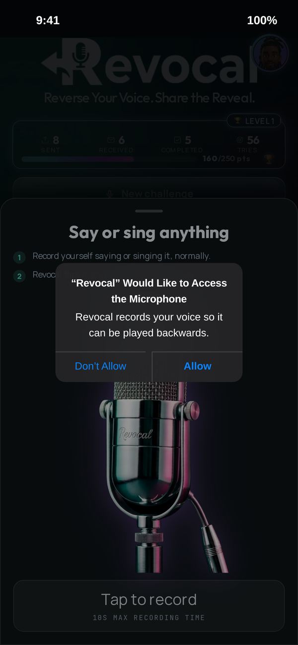 The iPhone microphone question over the record screen